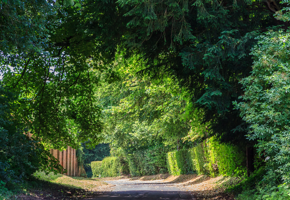 Near Romsey, Hampshire