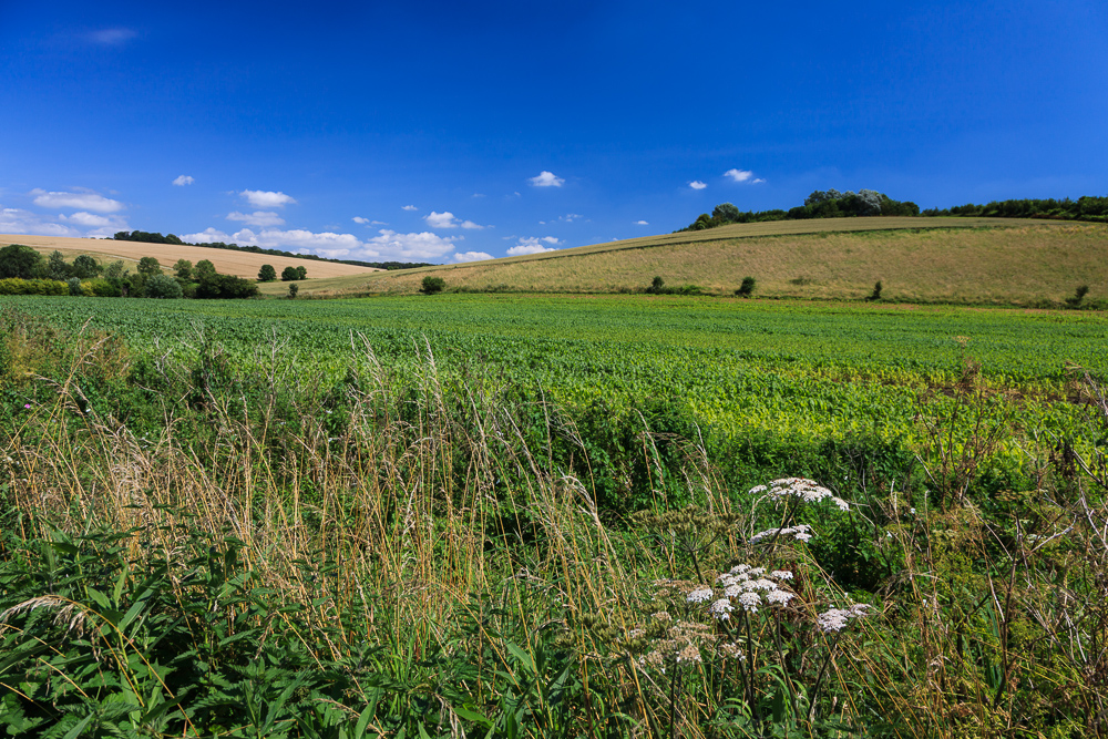 Near Romsey, Hampshire