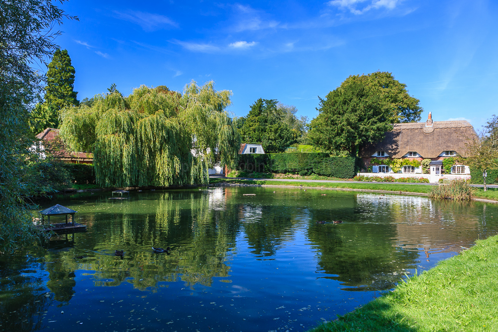 Crawley Hampshire