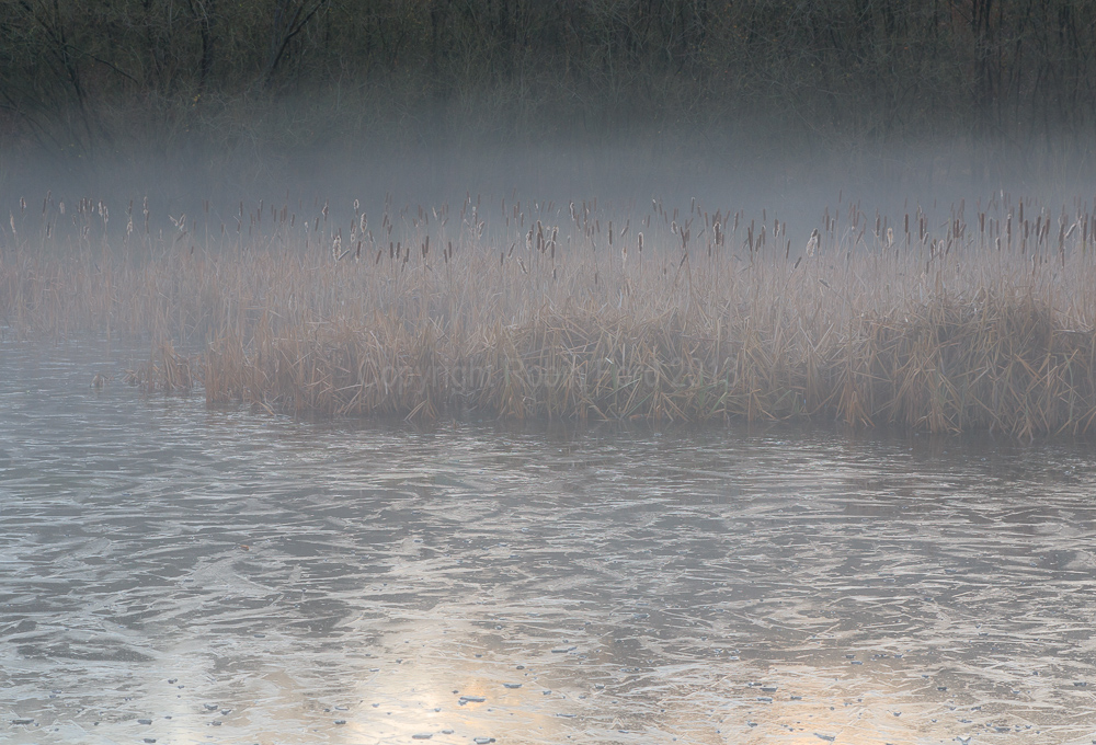 Gravel Pit Pond, Yateley Common Hampshire
