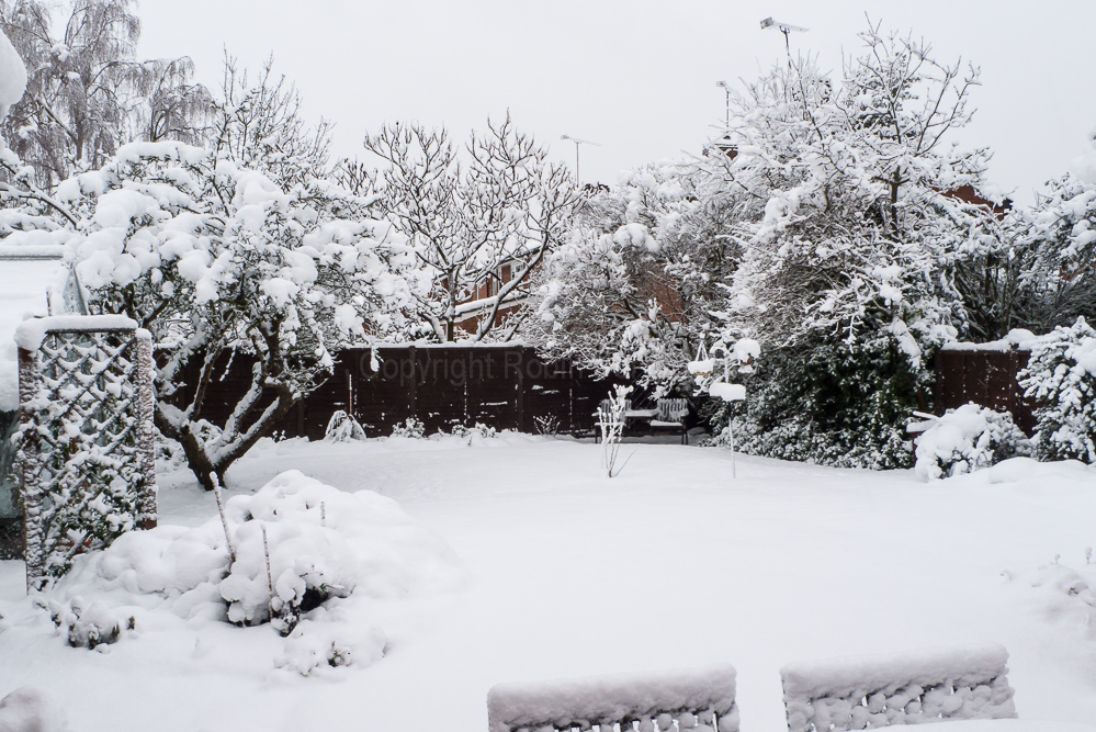 This much snow is unusual, January 2010
