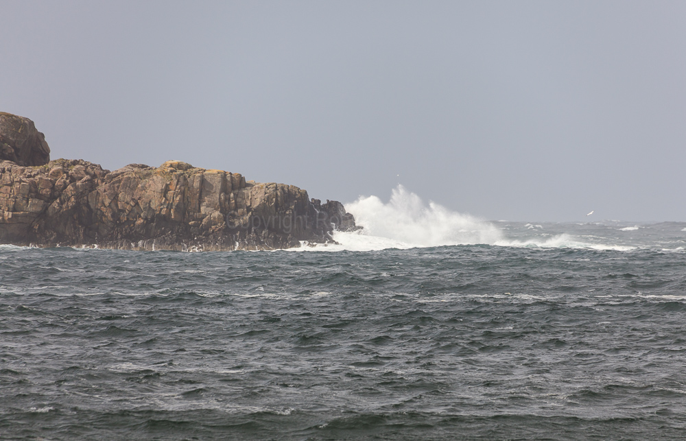 Scourie