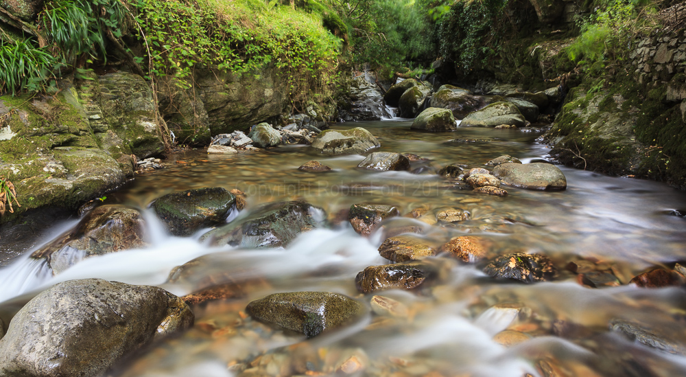 Mill Beck, Buttermere