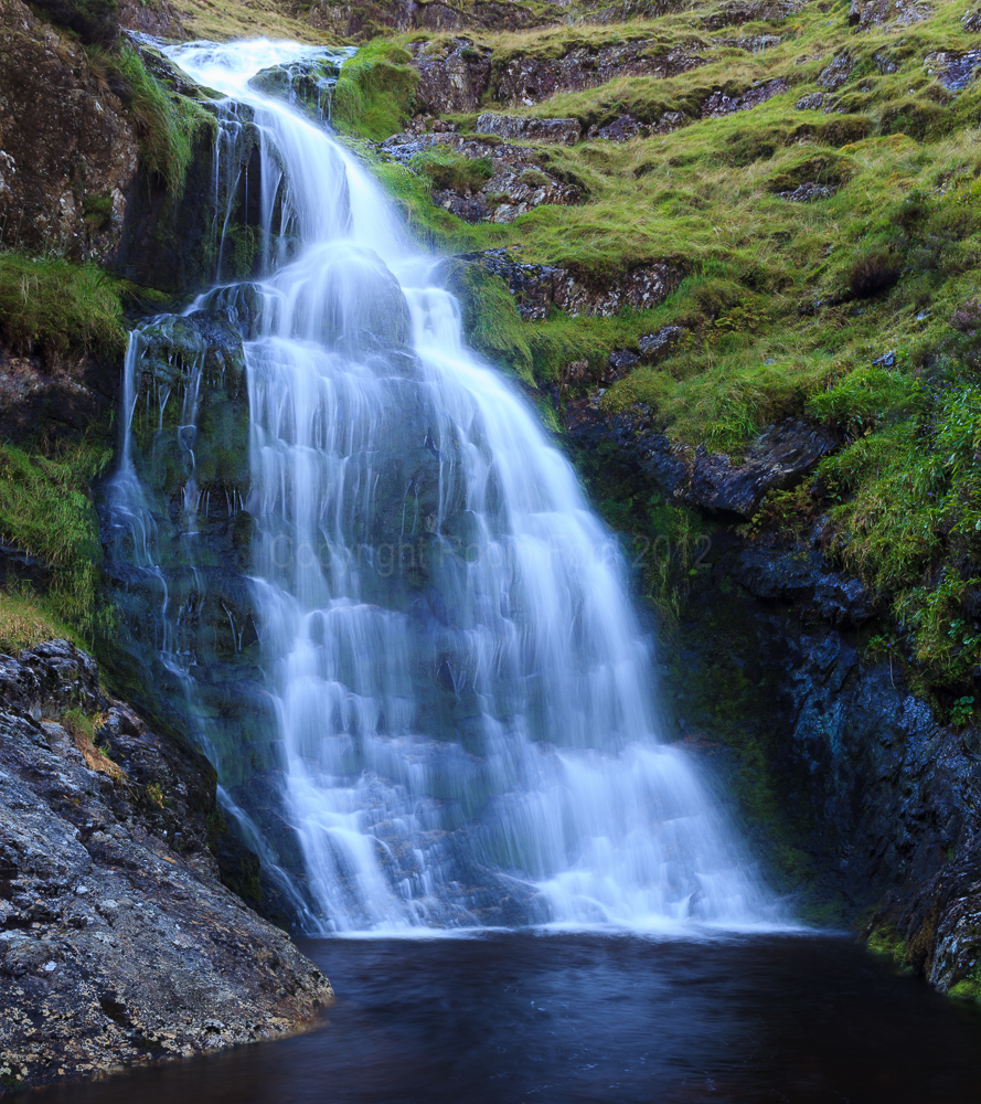Moss Force