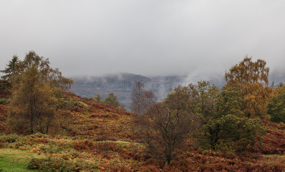 Tarn Hows