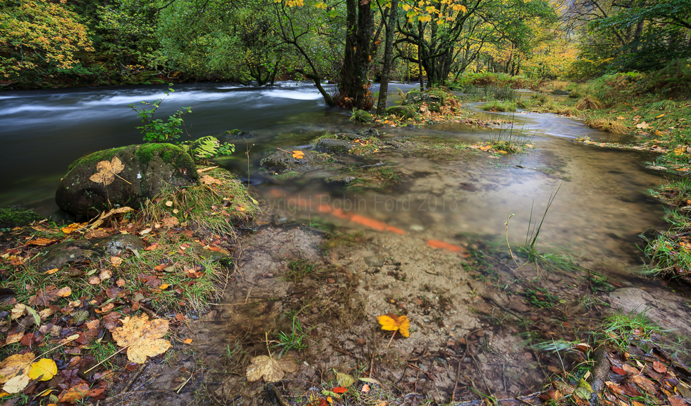 River Rothay