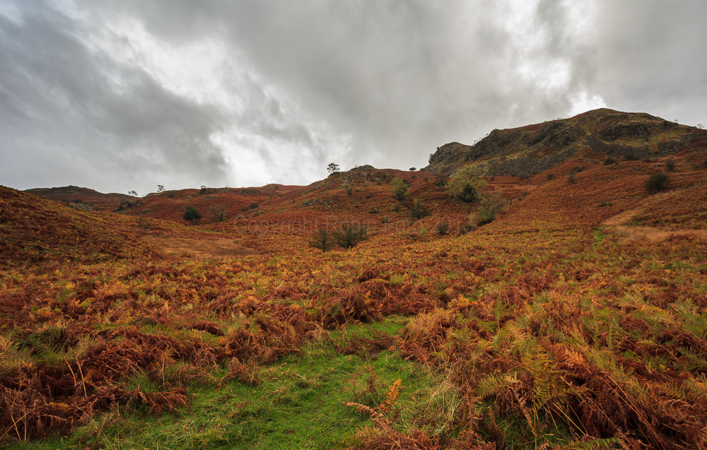 Rydal Water