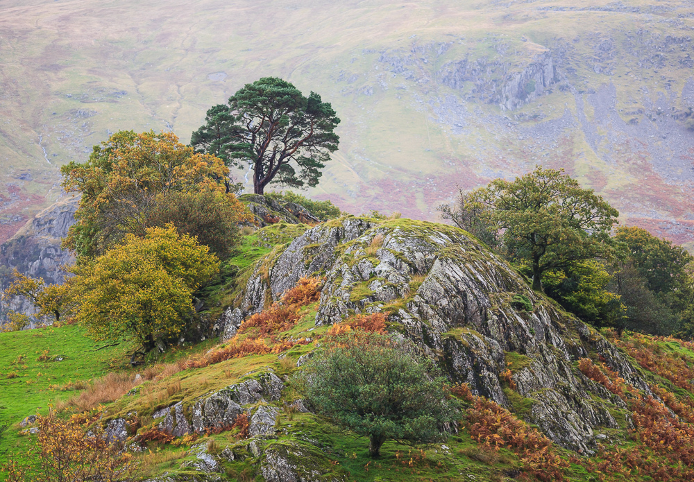 Thirlmere