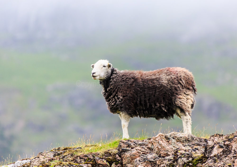 Wasdale
