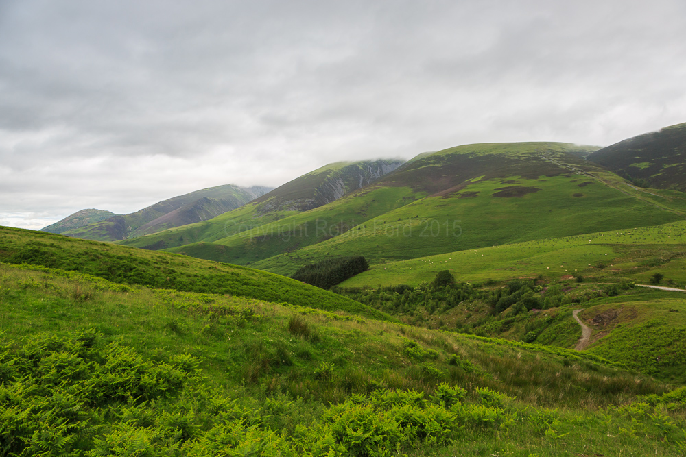 Skiddaw