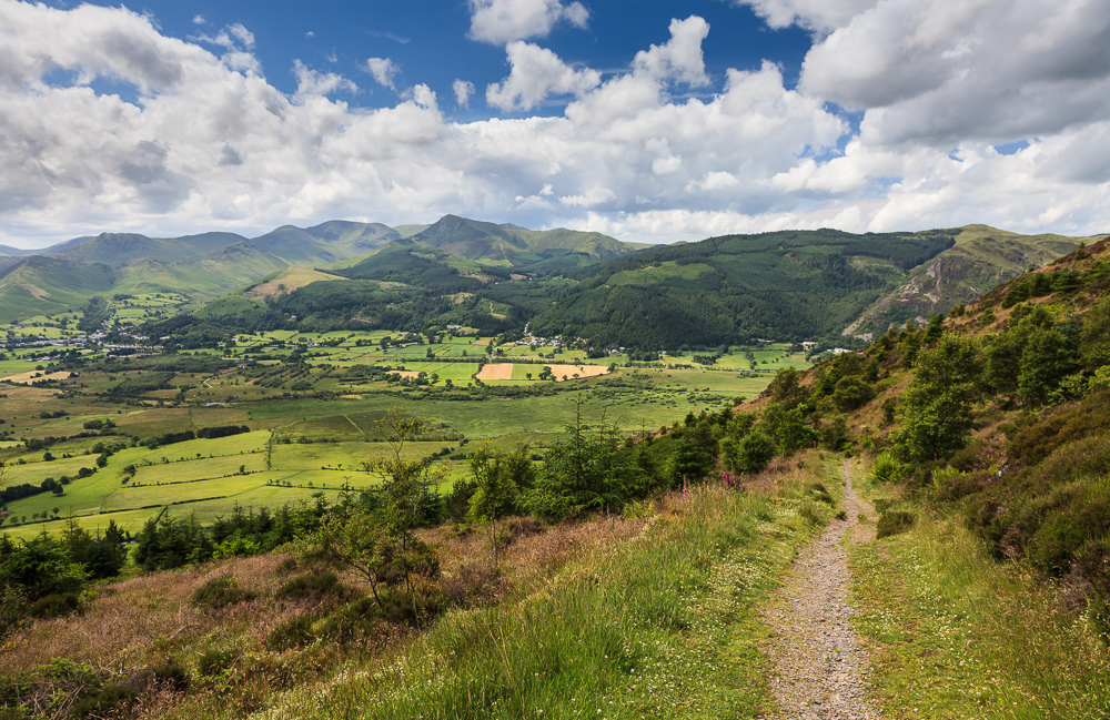 On Dodd Fell