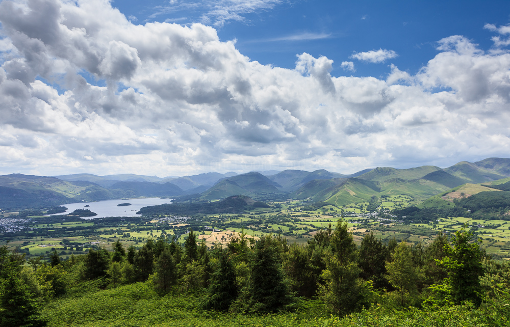On Dodd Fell