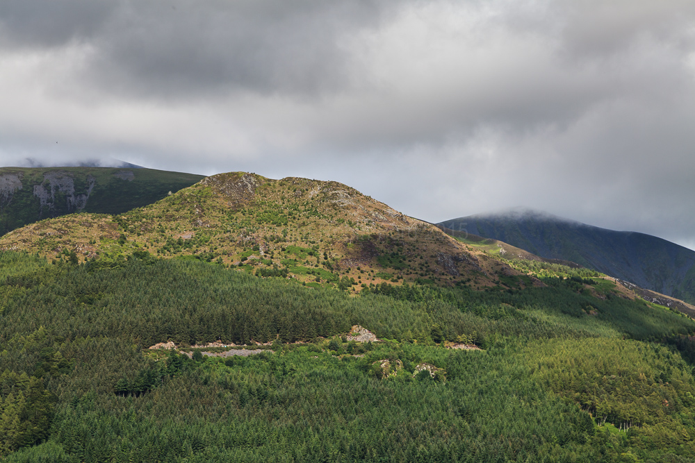 Dodd Fell