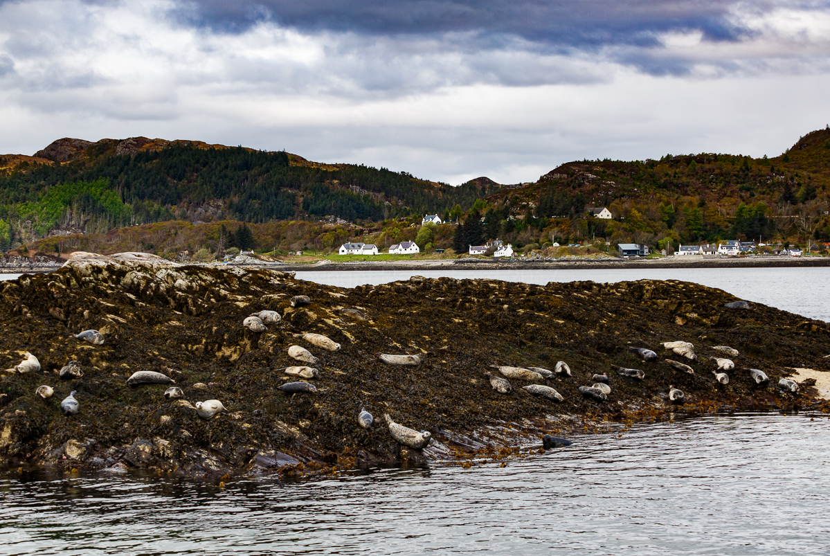 Loch Carron