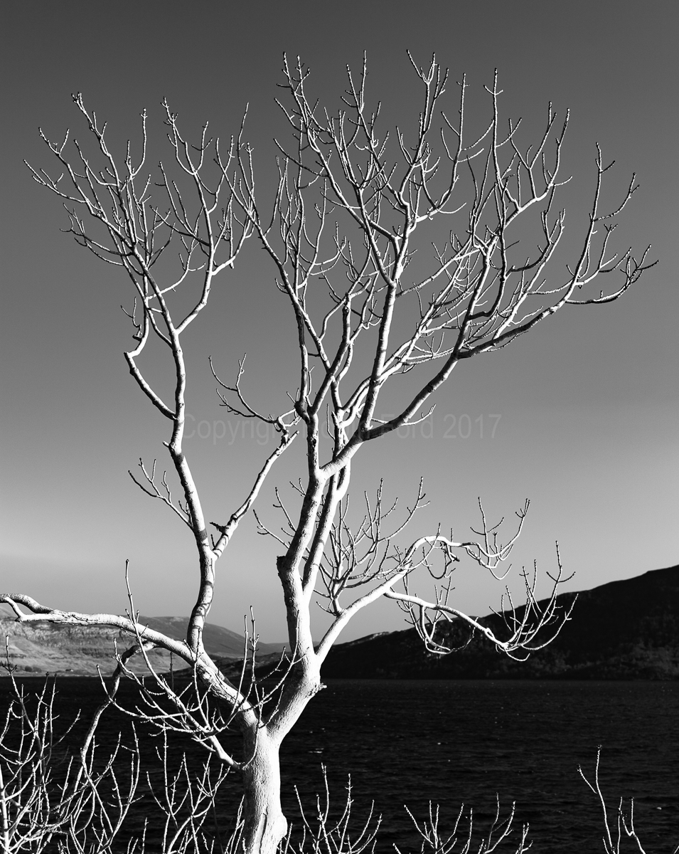 Loch Assynt