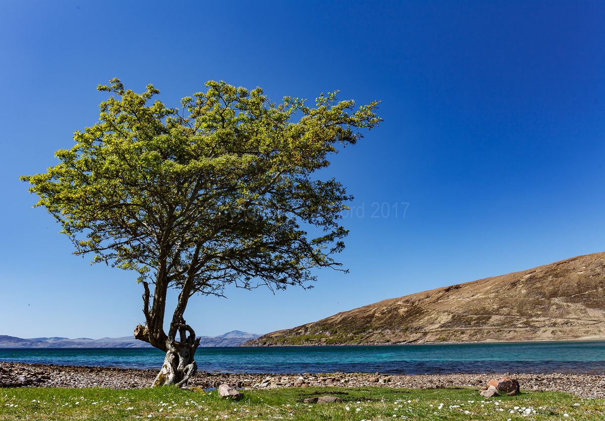 Applecross Bay