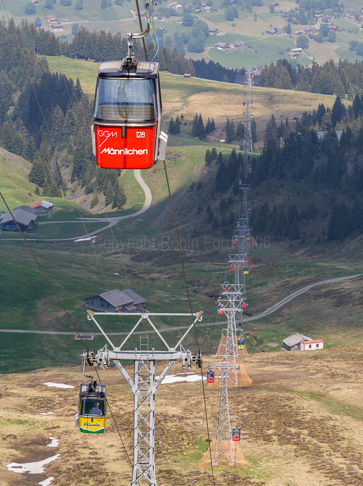 Mannlichen gondolas