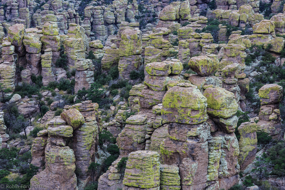 Chiricahua National Monument Arizona