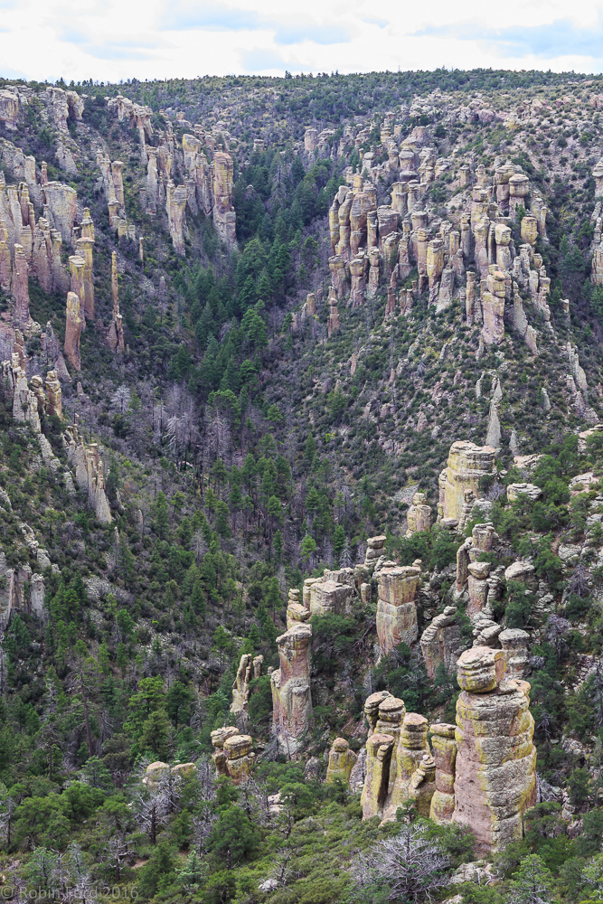 Chiricahua National Monument Arizona