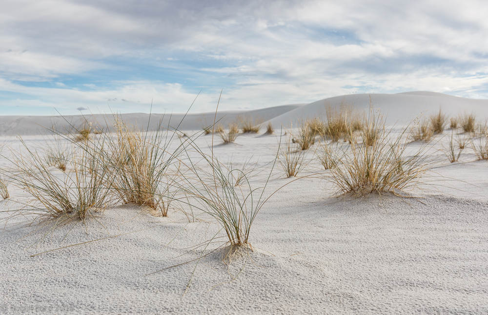 White Sands National Monument New Mexico