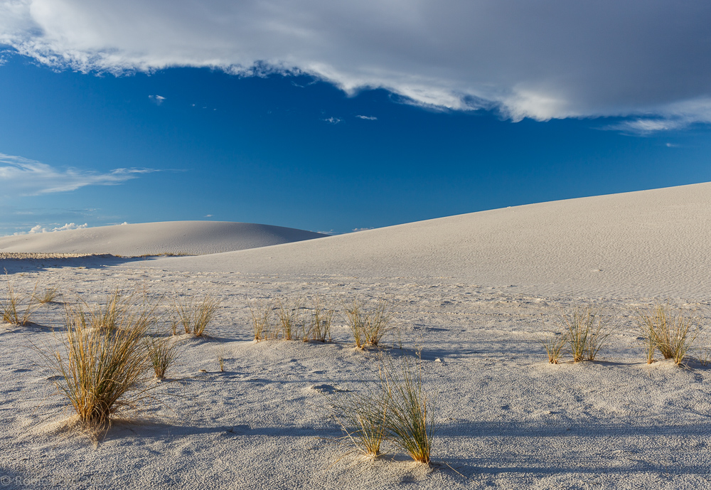 White Sands National Monument New Mexico