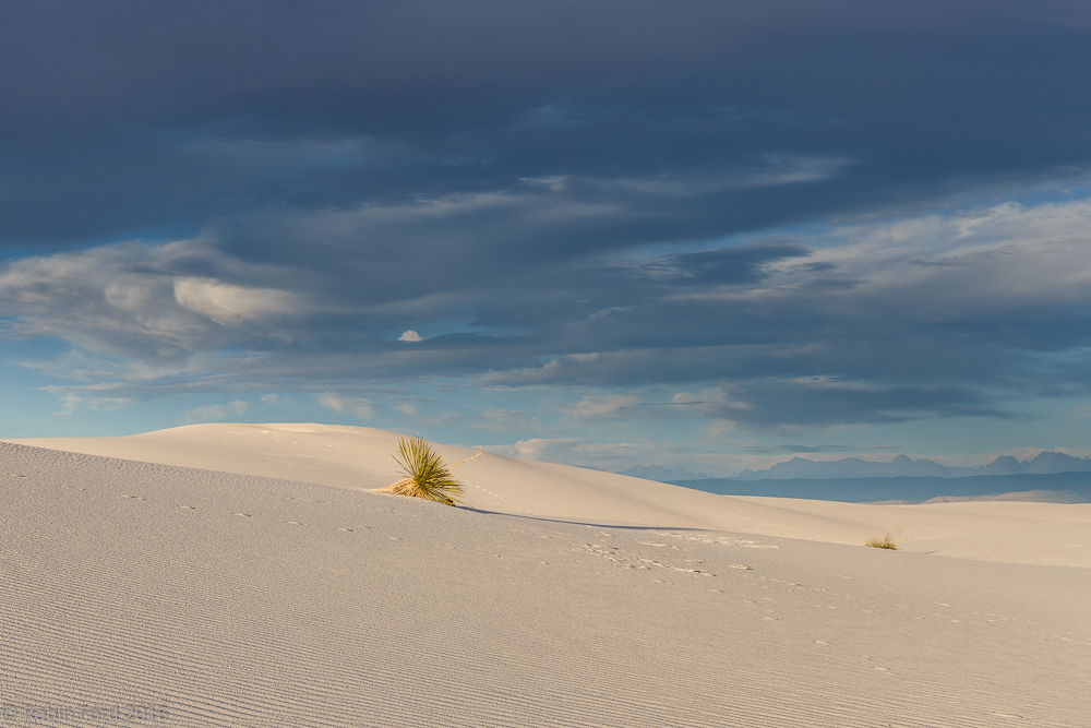 White Sands National Monument New Mexico