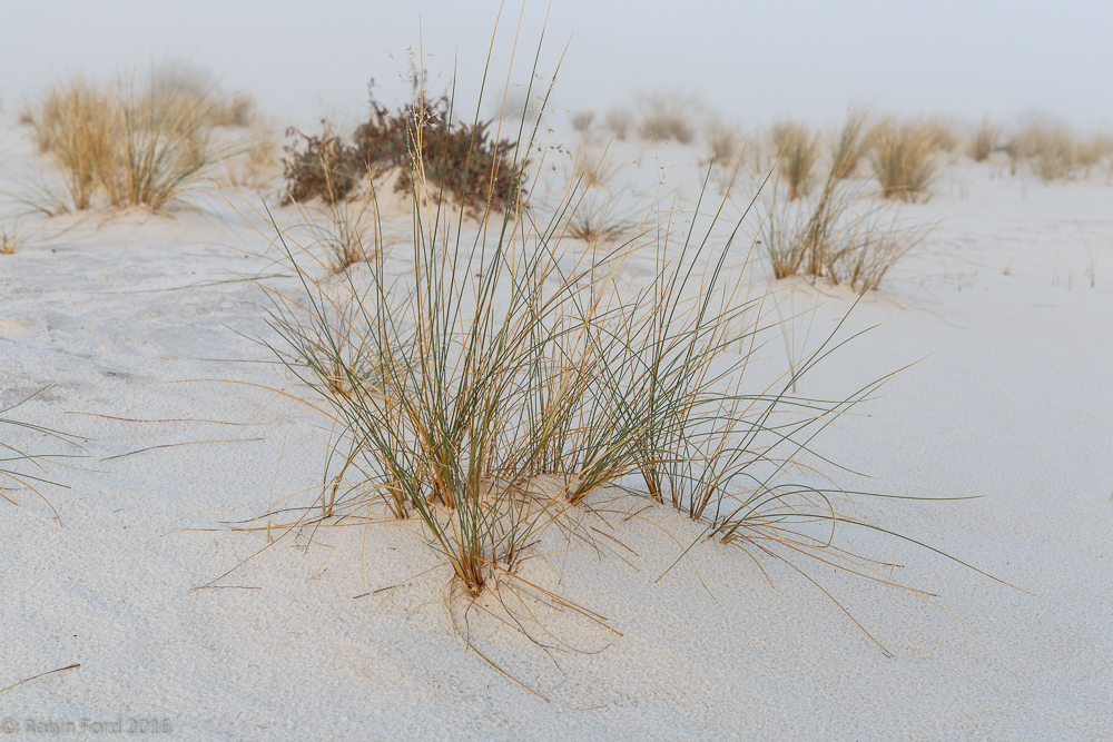 White Sands National Monument New Mexico