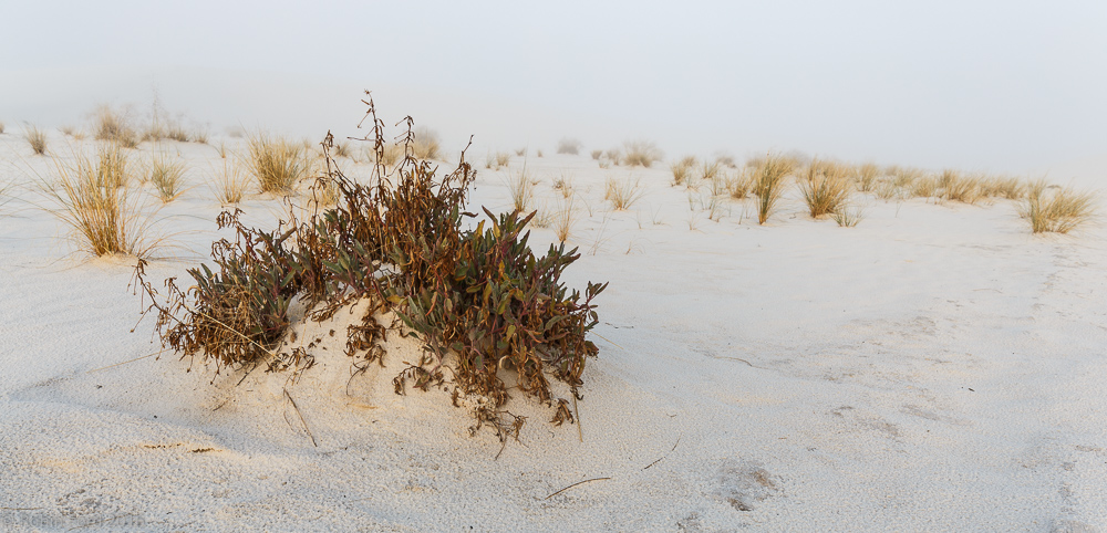 White Sands National Monument New Mexico