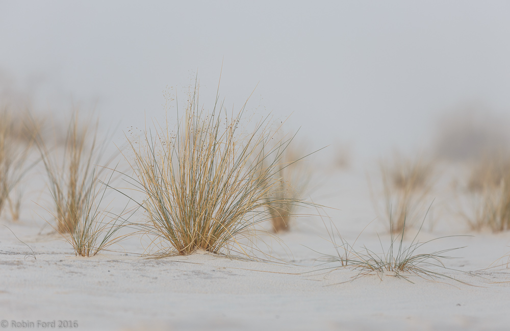 White Sands National Monument New Mexico