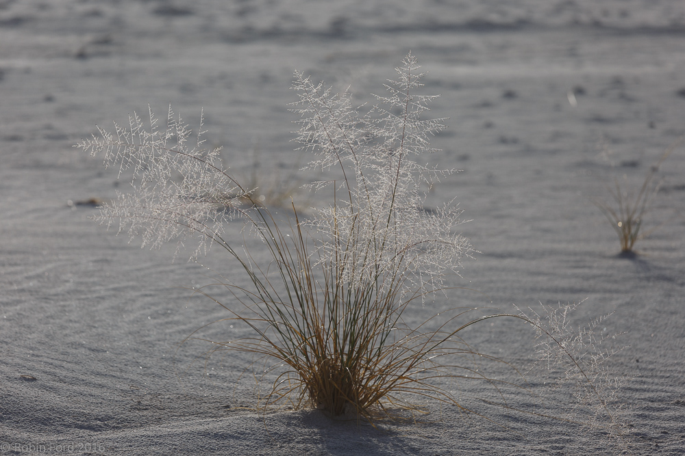 White Sands National Monument New Mexico