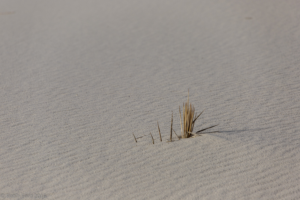 White Sands National Monument New Mexico