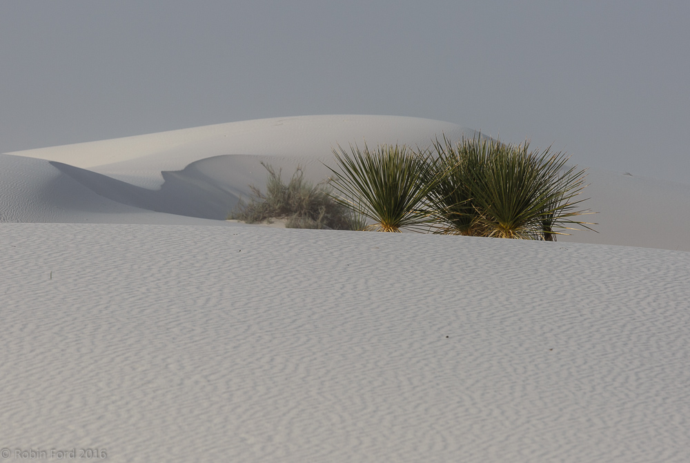 White Sands National Monument New Mexico
