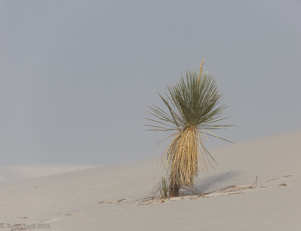 White Sands National Monument New Mexico