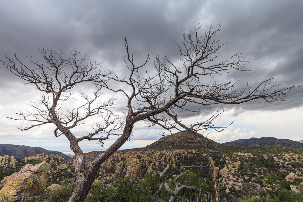 Chiricahua National Monument Arizona