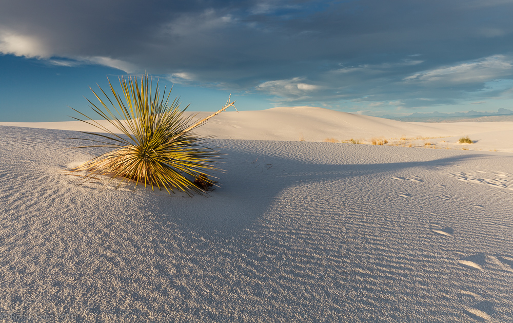 White Sands National Monument New Mexico