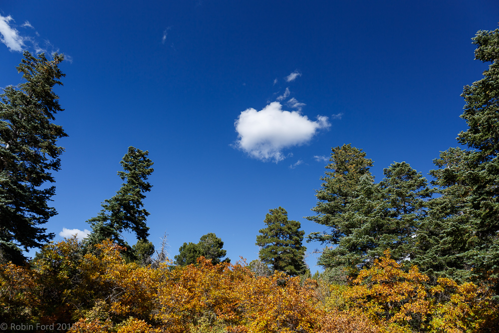 Sandia Montains