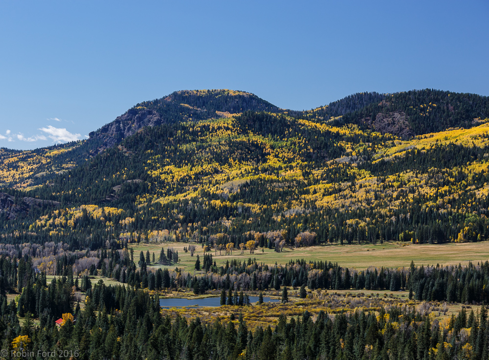 Creede