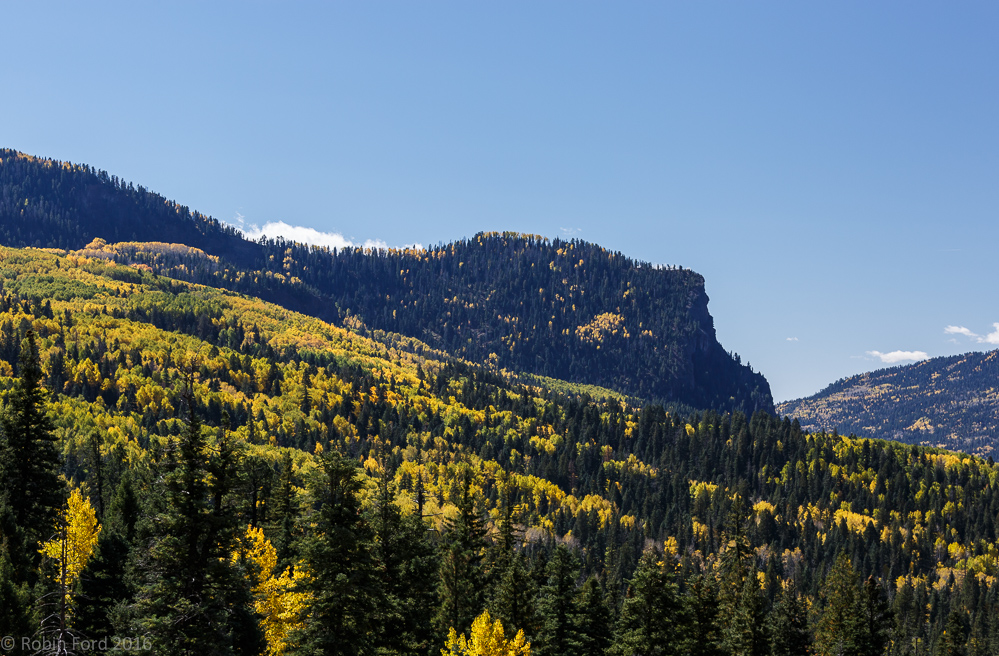 Creede