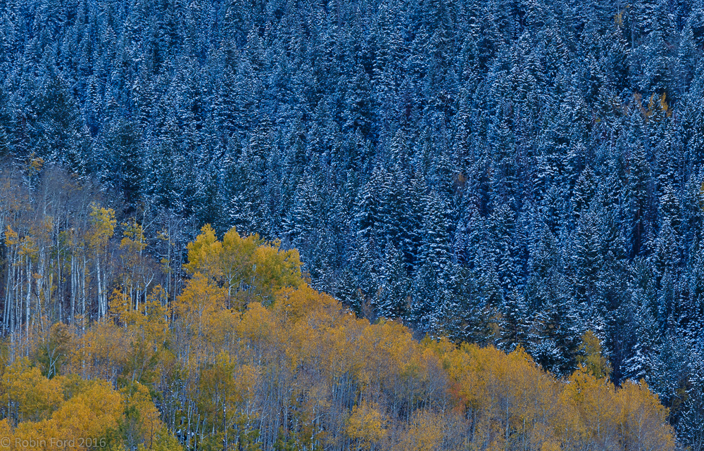 Aspen