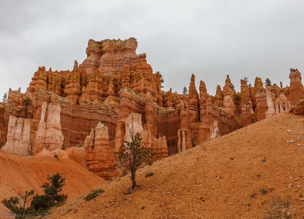 Bryce Canyon National Park Utah 