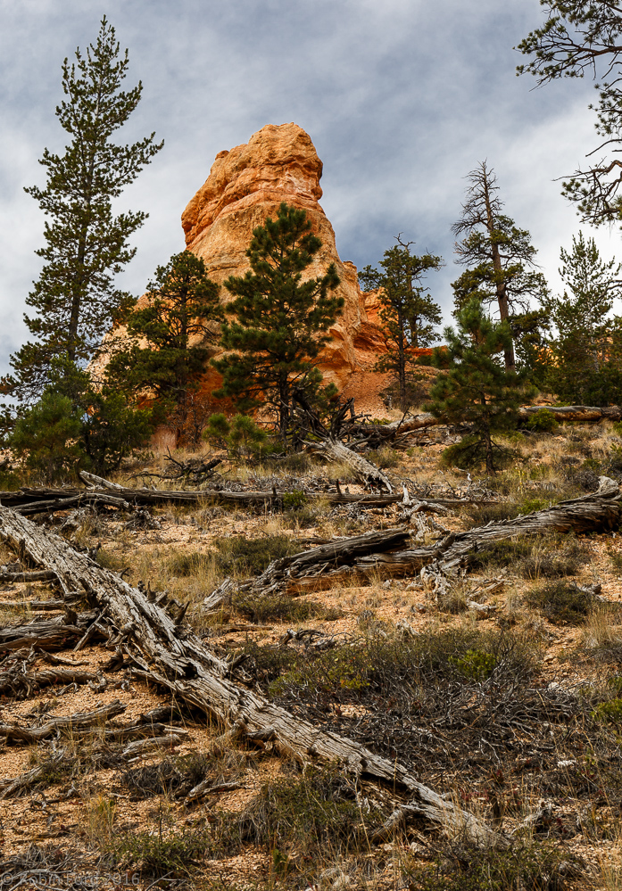 Bryce Canyon National Park Utah 