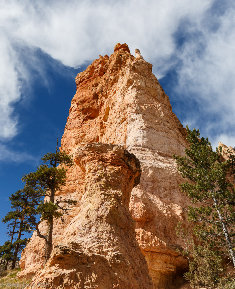 Bryce Canyon National Park Utah 