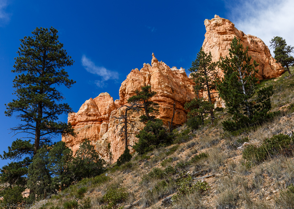 Bryce Canyon National Park Utah 