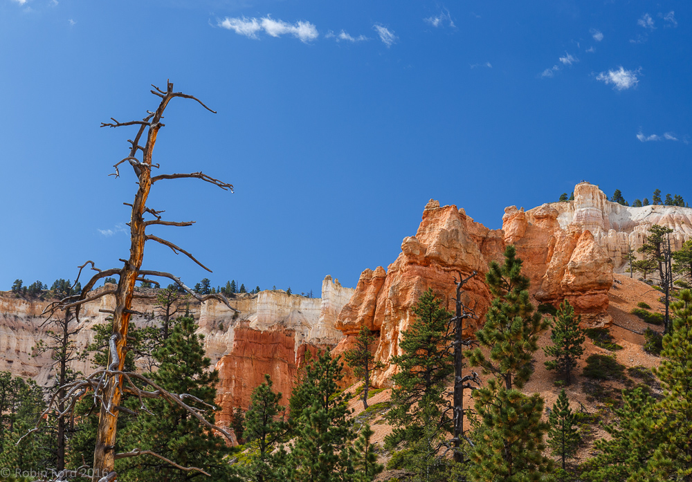 Bryce Canyon National Park Utah 