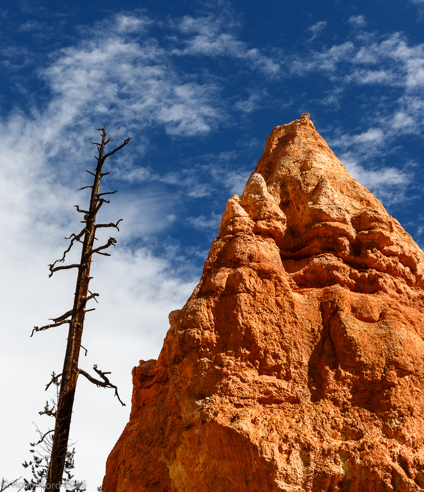 Bryce Canyon National Park Utah 