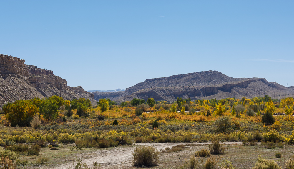 Cottonwood Canyon Road Utah