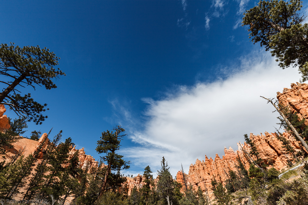 Bryce Canyon National Park Utah 