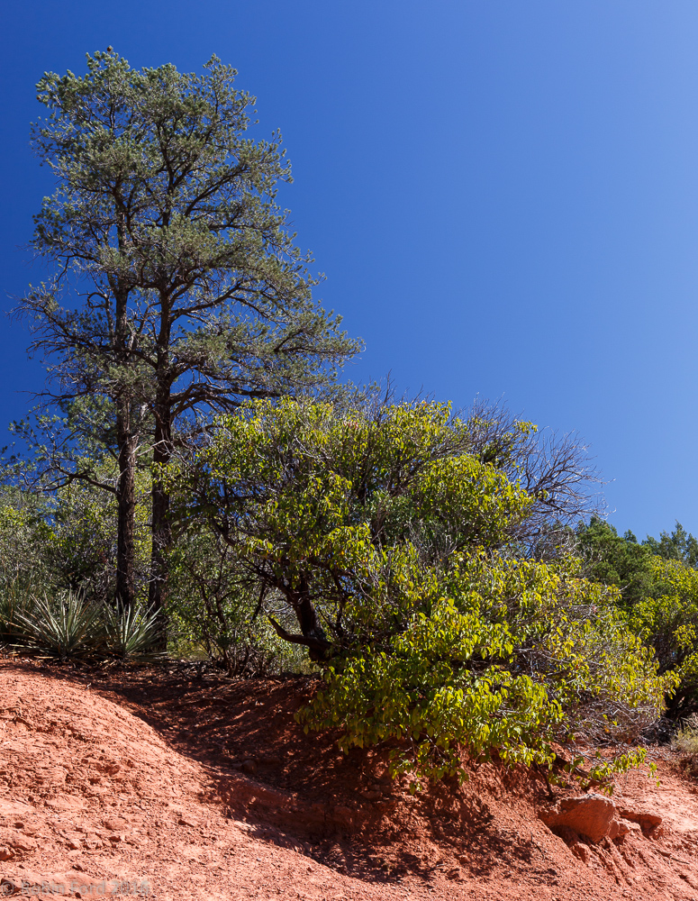 Sedona Arizona